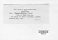 Image Associated With the Occurence